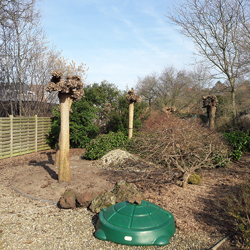 boomwerken Groenland